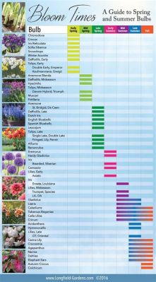 When to Plant Flowers in Virginia